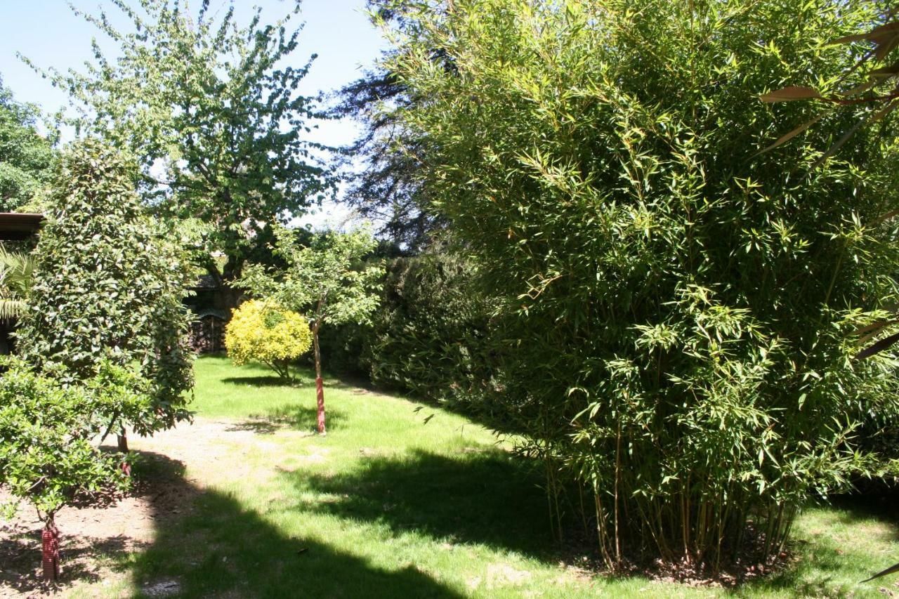 La Casa Di Rachele Appartement Sarteano Buitenkant foto